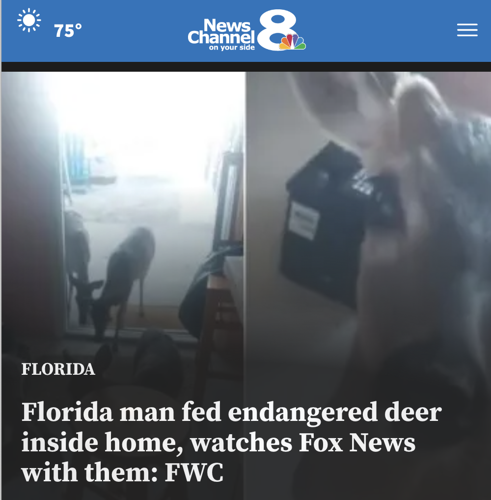 video - 75 News Channel on your side & Florida Florida man fed endangered deer inside home, watches Fox News with them Fwc